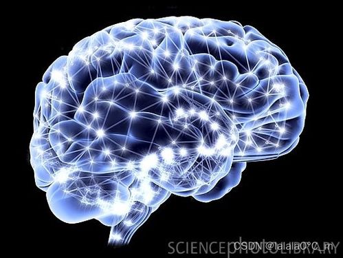 認識神經(jīng)網(wǎng)絡(luò) 從神經(jīng)元到深度學(xué)習(xí) 全面清晰易懂