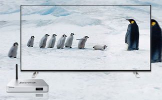 公司官網(wǎng)產(chǎn)品圖